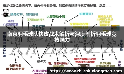 南京羽毛球队快攻战术解析与深度剖析羽毛球竞技魅力